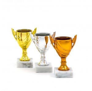 Cupe si trofee - Cupa MS10
