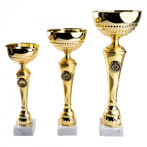 Cupe si trofee - Cupa MS17