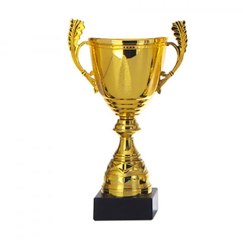 Cupe si trofee - Cupa MS40-King64