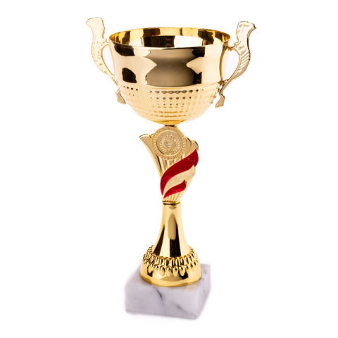 Cupe si trofee - Cupa MS35