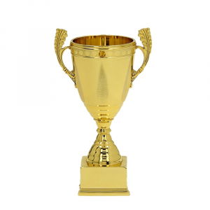 Cupe si trofee - Cupa MS08