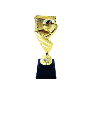 Cupe si trofee - Trofeu MS126 Handbal