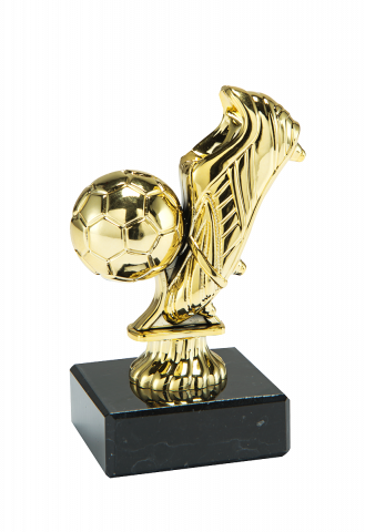 Cupe si trofee - Trofeu MS55, Gheata Fotbal