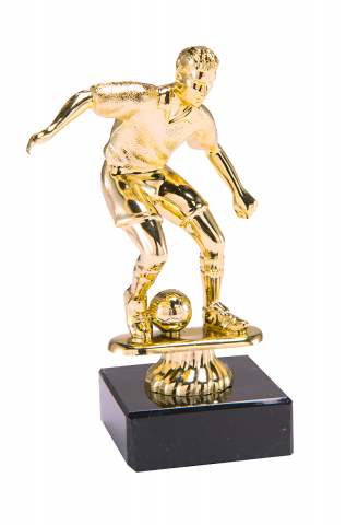 Cupe si trofee - Trofeu MS53, Jucator Fotbal