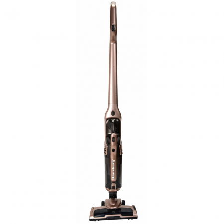 Aspirator vertical 2in1 Hausberg HB-2026AU, 120W, 2 viteze de lucru, Negru/Auriu [0]