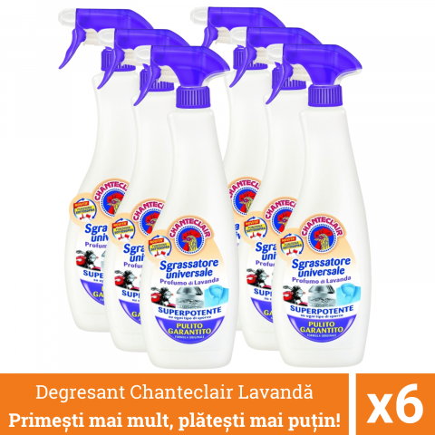 Produse curatare bucatarie - Pachet promo 6 x Chanteclair Detergent Degresant Universal Lavanda, Spray, 600 ml