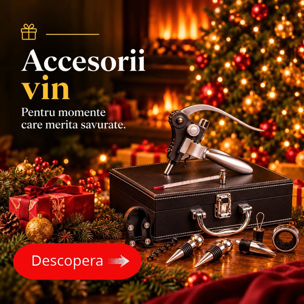 Accesorii vin