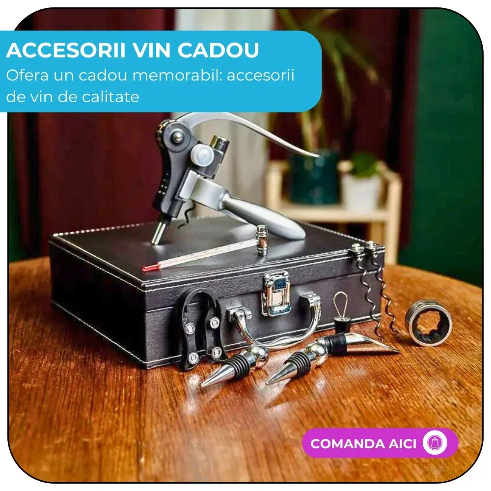 Accesorii vin
