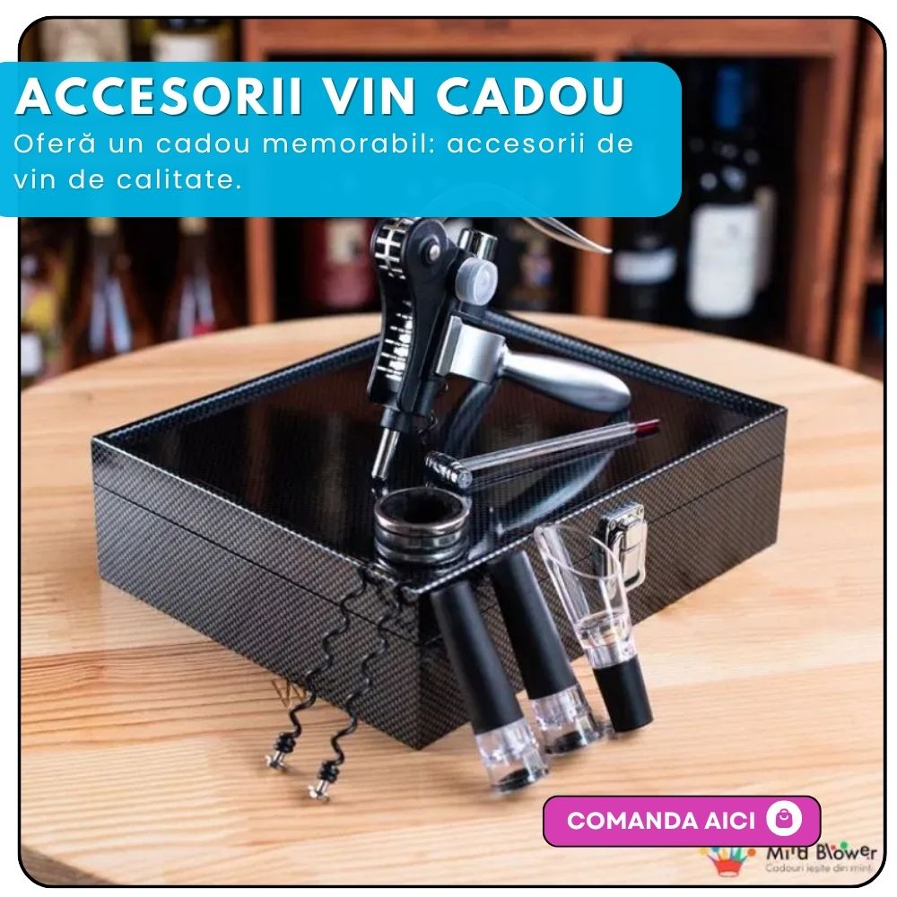 Accesorii vin