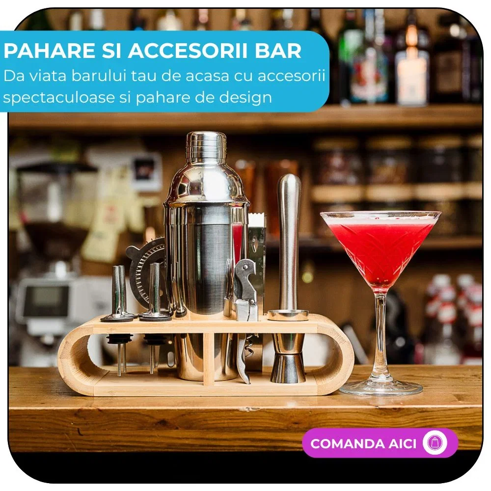 Pahare si Accesorii bar