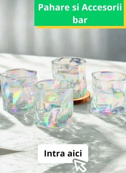 Pahare si Accesorii bar