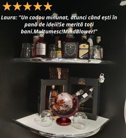 Galerie imagini