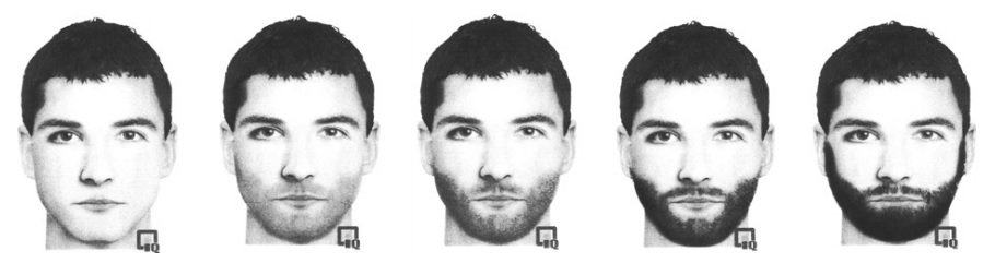 femeile si barbatii cu barba