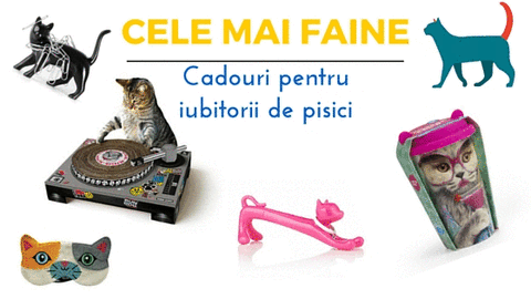 Idei de cadouri pentru iubitorii de pisici