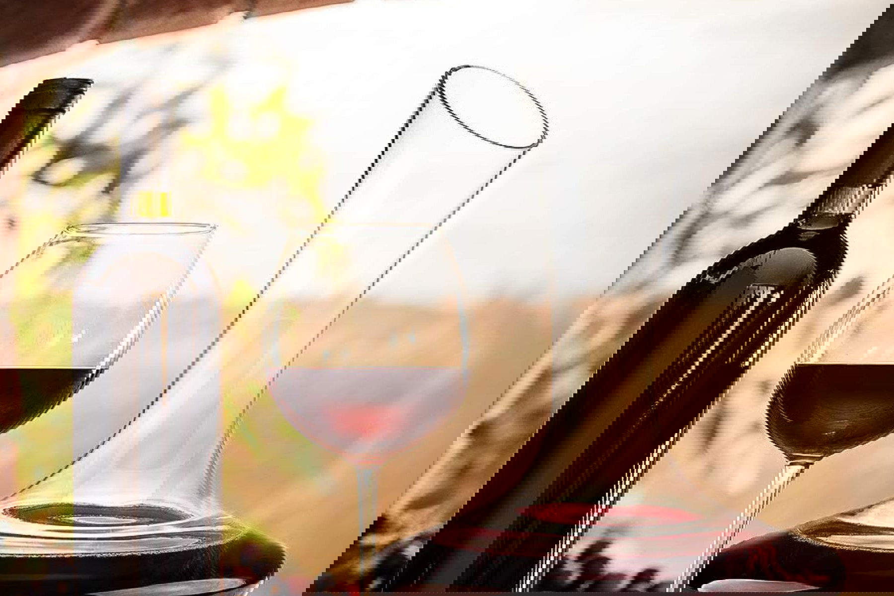 Ce este un decantor vin? Cand si de ce sa-l folosesti?