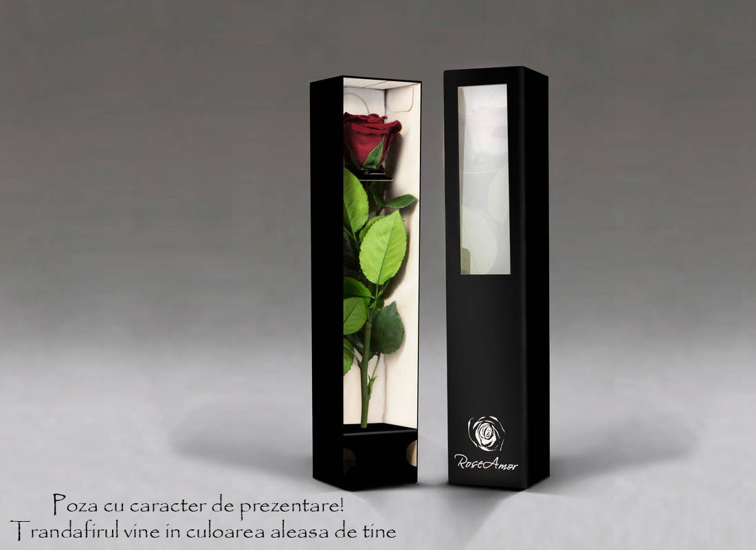 fir-de-trandafir-criogenat-multicolor-2829-1935