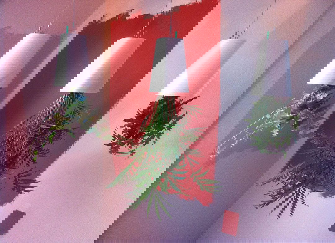 ghiveci-cu-susul-in-jos-1890-8575