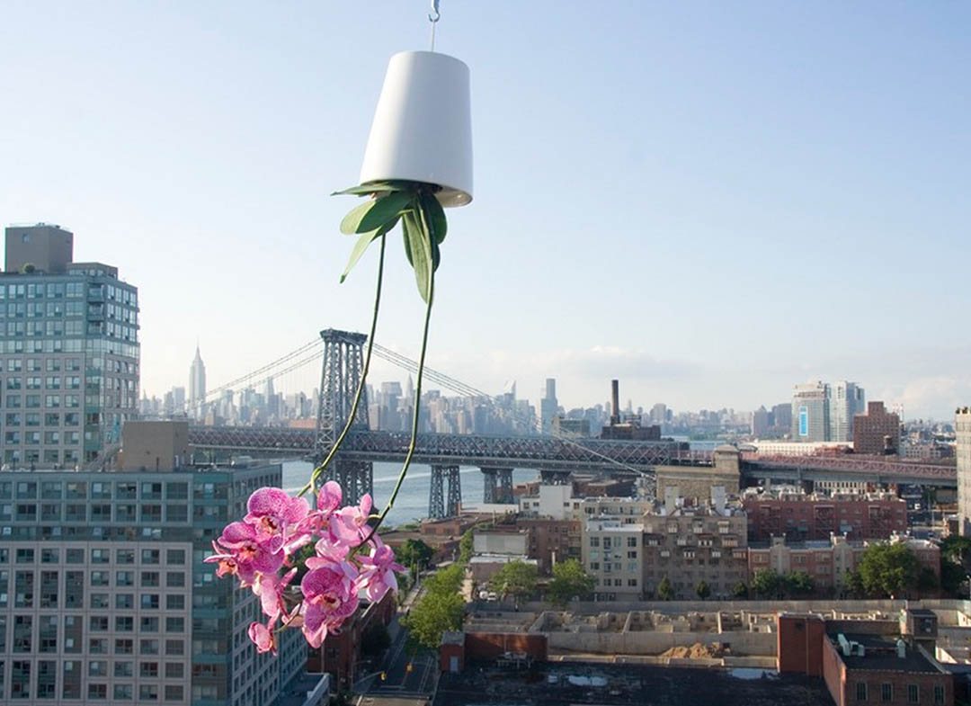 Cine a mai auzit de un ghiveci cu susul in jos?