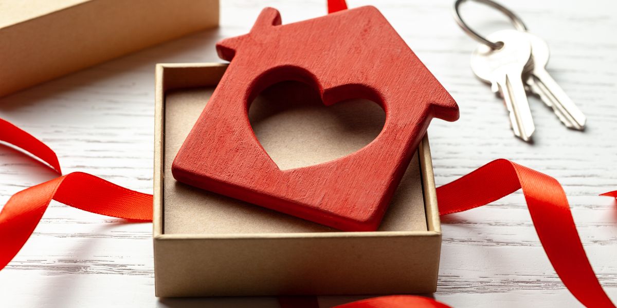 Idei cadou de casa noua - Cum sa-i surprinzi  pe cei la care mergi in vizita