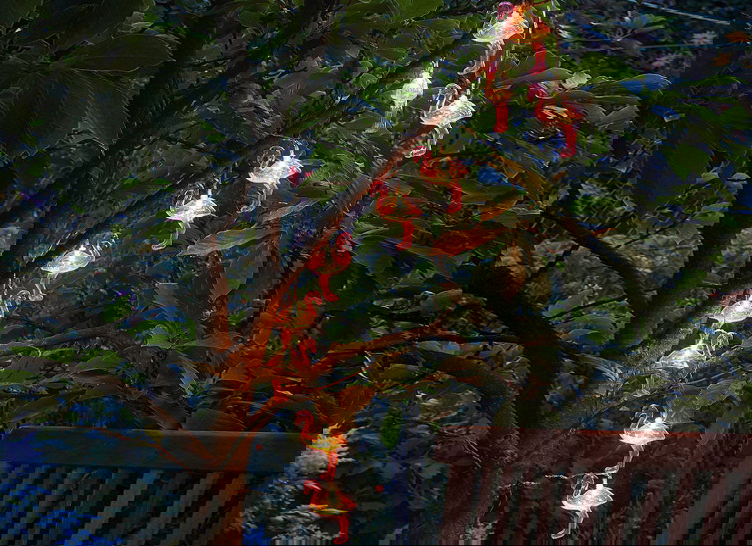 Instalatie-de-lumini-Flamingo-Roz-19-923-124057