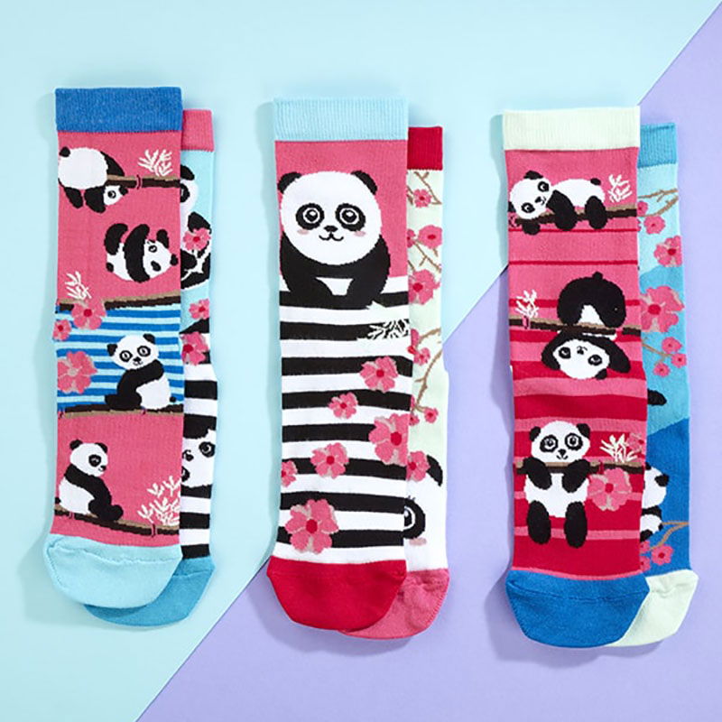 set-6-sosete-colorate-panda-bamboozle-3462-4243