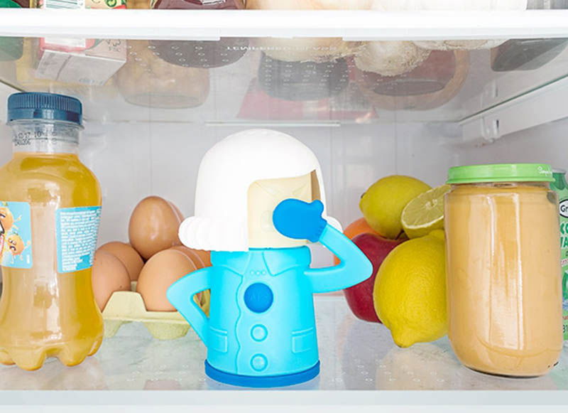 soacra-pentru-frigidere