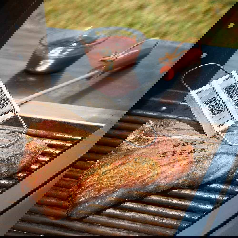 stantator-pentru-gratar