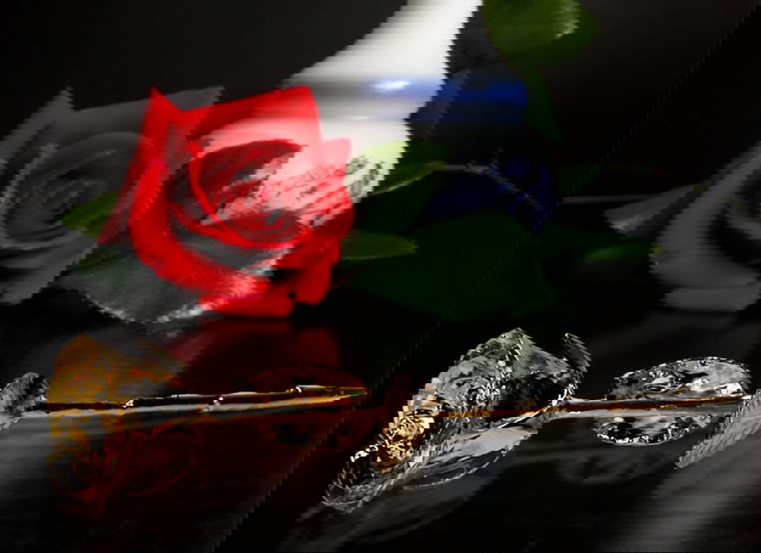 Trandafir-placat-cu-aur-de-24K