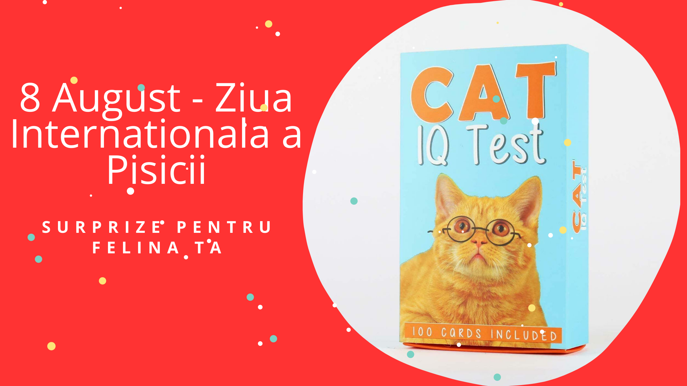 8 August - Ziua Internationala a Pisicii