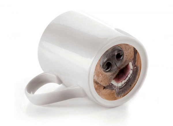 Cana bot de caine [3]