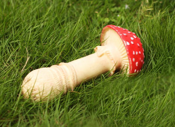 Ciuperca antistres [5]