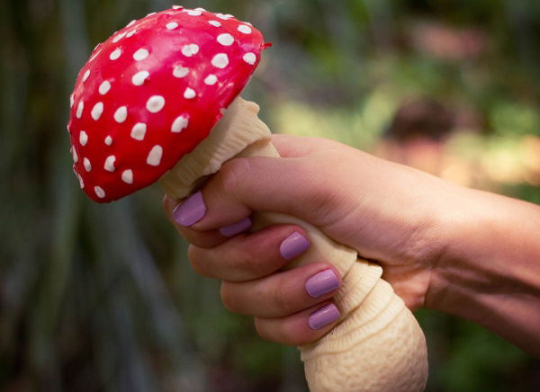 Ciuperca antistres [4]