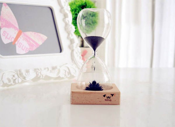 Clepsidra magnetica [8]