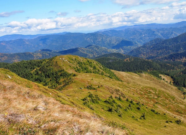 Experienta 4X4 Penteleu Academia Titi Aur [4]