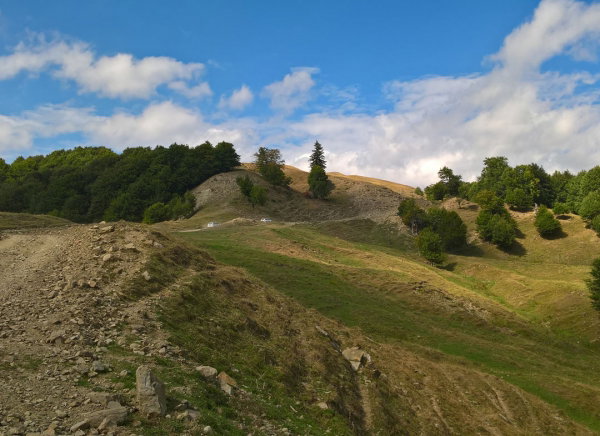 Experienta 4X4 Penteleu Academia Titi Aur [7]