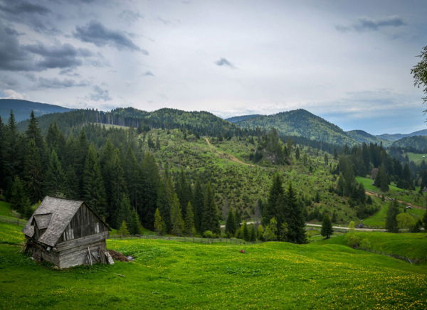 Experiență off-road Cheile Gradiștei Academia Titi Aur [5]
