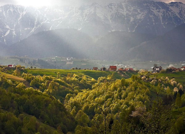 Experiență off-road Cheile Gradiștei Academia Titi Aur [6]