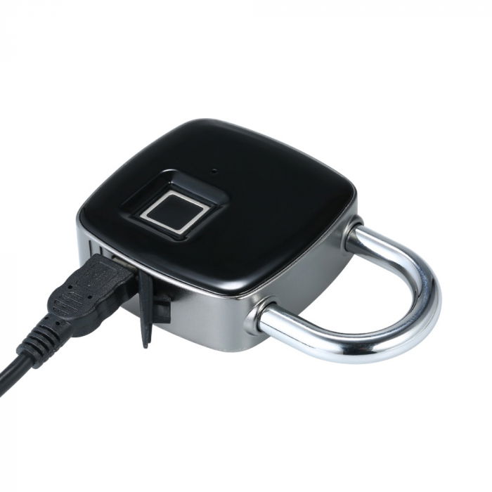 Lacat cu amprenta [3]