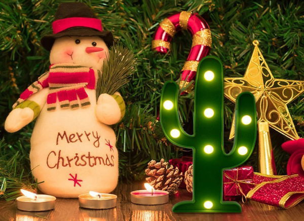 Lampa de Veghe LED Cactus [8]