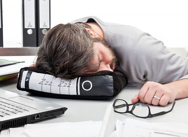 Perna Biblioraft [1]