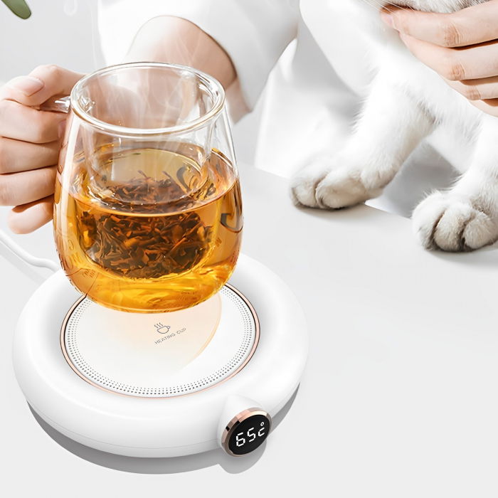 Aparat pentru mentinerea bauturilor fierbinti 55-75 grade [4]