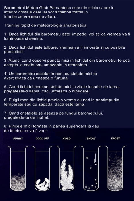 Barometru Meteo de Birou XL [10]