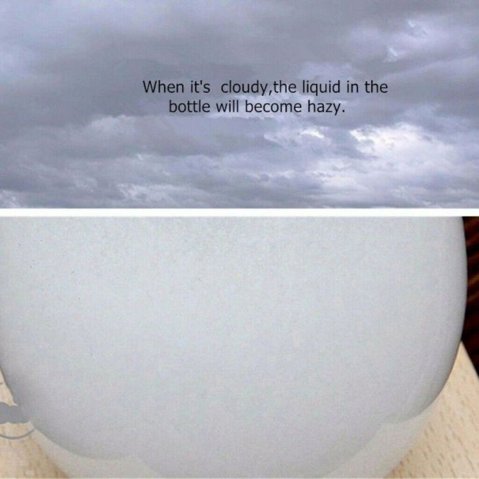 Barometru Meteo Glob Pamantesc [3]