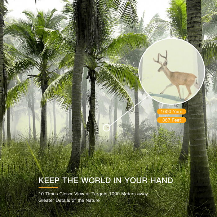 Binoclu Apeman BC100 10X42 HD, Geanta transport [5]