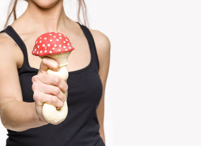 Ciuperca antistres [6]