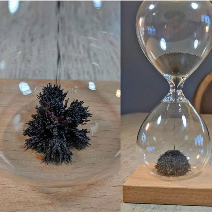 Clepsidra magnetica [5]