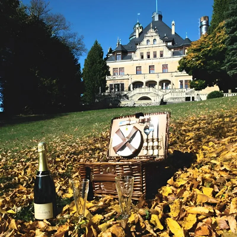 Cos picnic 2 persoane Saint Michel [2]