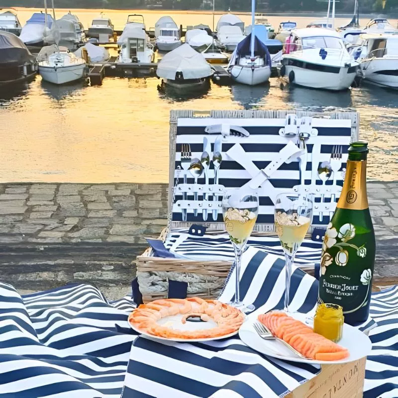 Cos picnic 4 persoane Marine [4]