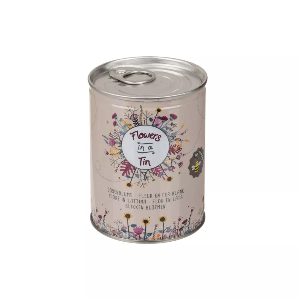 Cutie cu flori Pajistea mea [5]