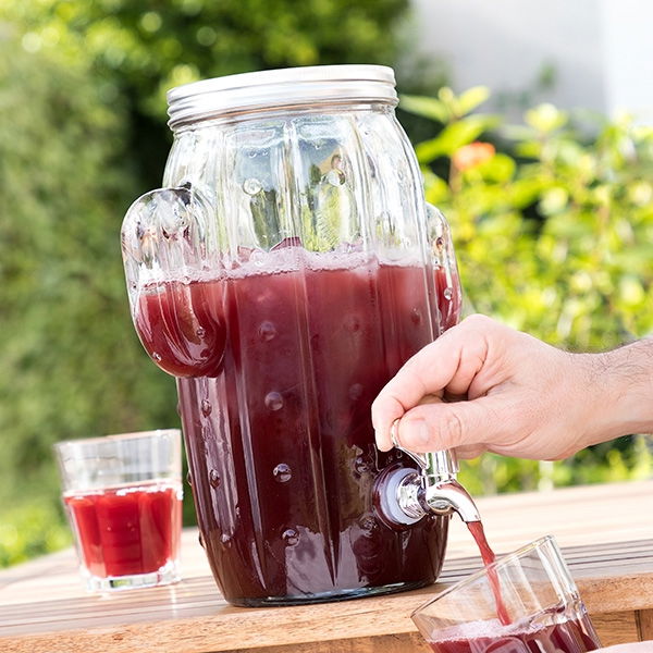 Dispenser Cactus Suculent bauturi racoritoare [1]